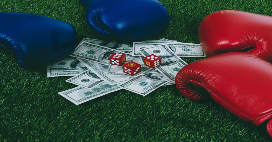 Cách tính điểm trong cá cược boxing