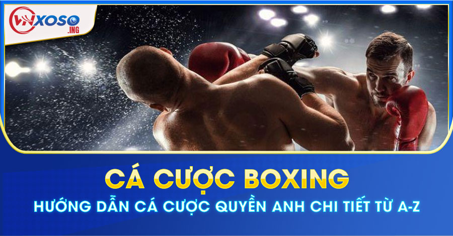 Cá cược boxing - Hướng dẫn cá cược Quyền Anh chi tiết từ A-Z
