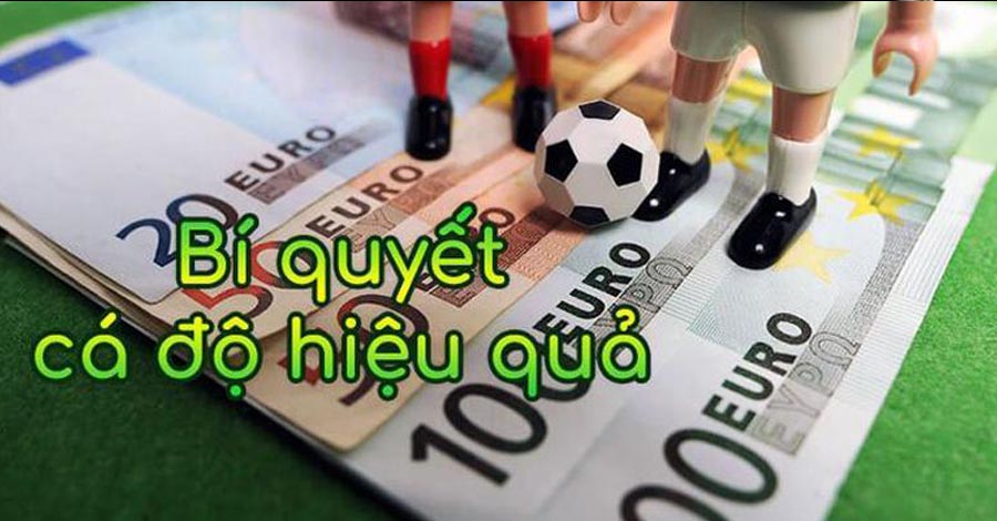 Bí quyết giúp cá cược bóng đá hiệu quả