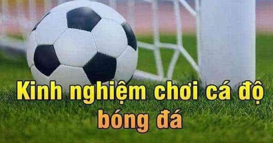 Kinh nghiệm chơi cá độ đá banh cho cược thủ