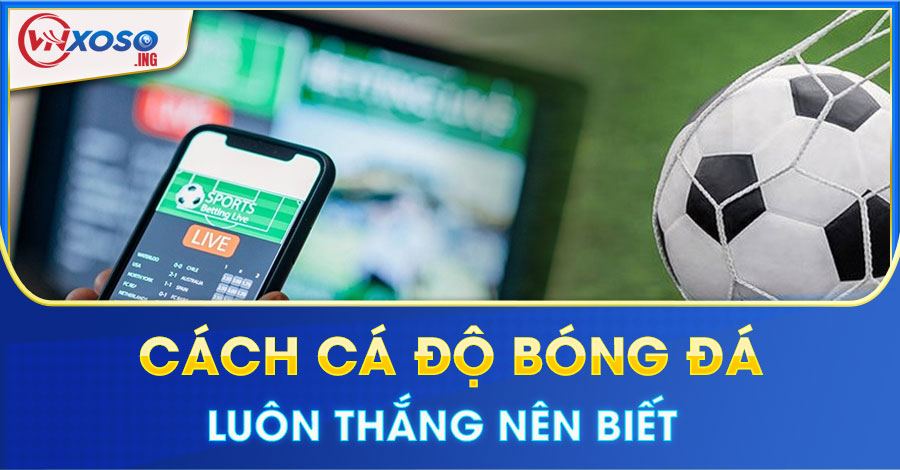 Cách cá độ bóng đá luôn thắng nên biết để thắng kèo