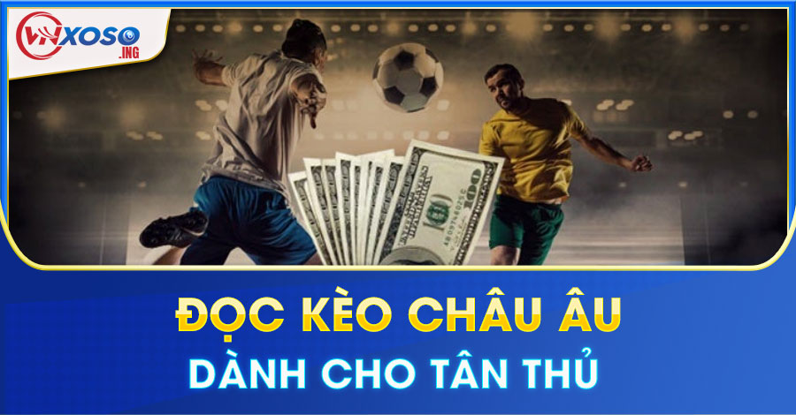 Hướng dẫn tân binh cách đọc kèo châu âu chi tiết nhất
